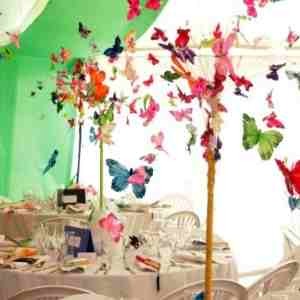 Butterfly-Wedding